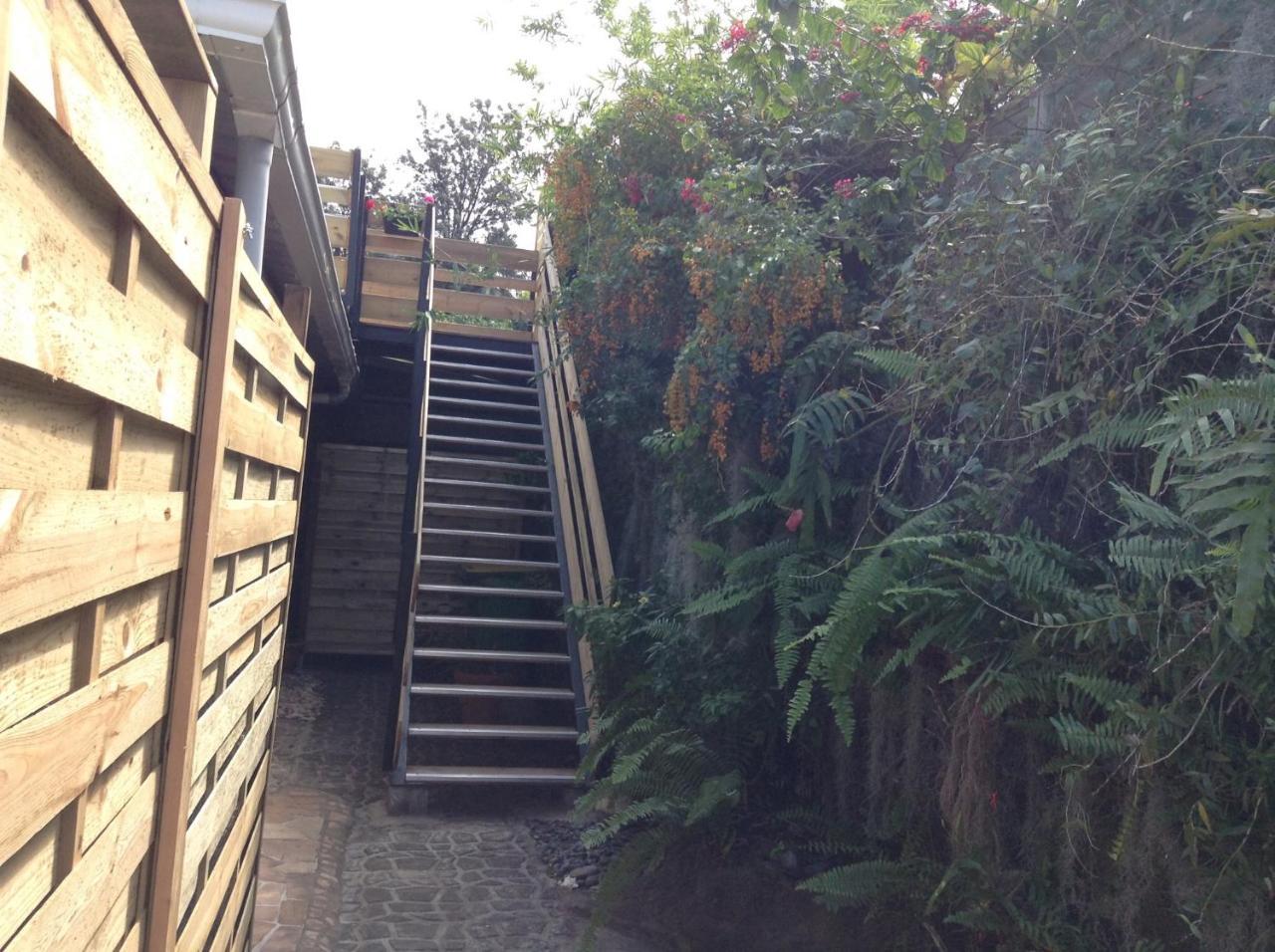 דירות Ravine Seche Le Begonia מראה חיצוני תמונה